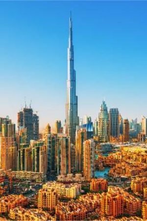 realtor real estate agent